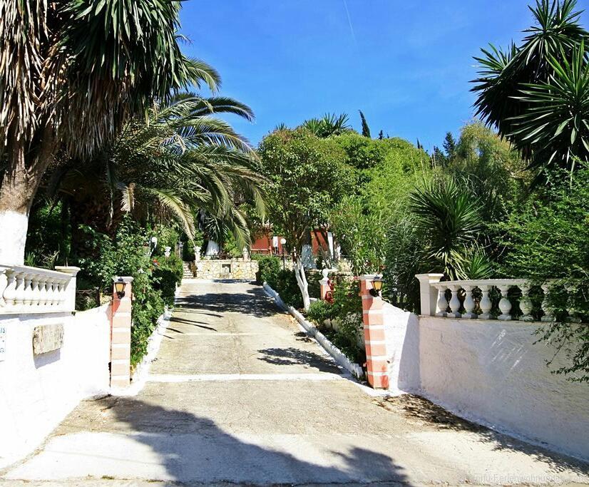 Villa Danai アギオス・ゲオルギオス・パゴン エクステリア 写真