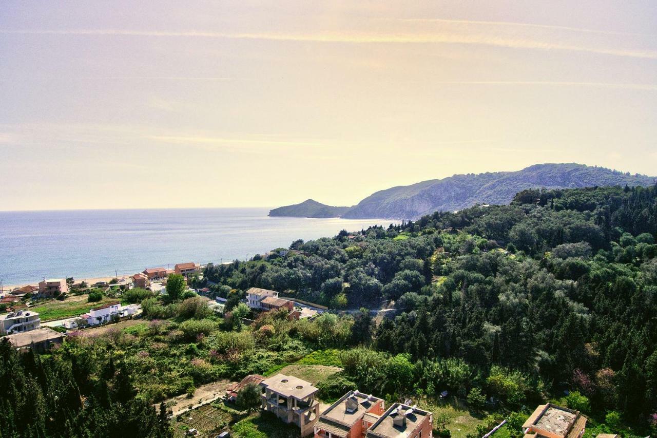 Villa Danai アギオス・ゲオルギオス・パゴン エクステリア 写真
